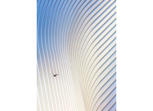 Sacred Geometries Exhibition – Anise Gallery