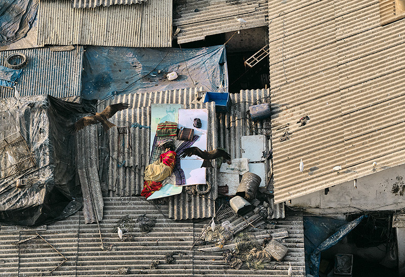 Spotlight: Life Framer